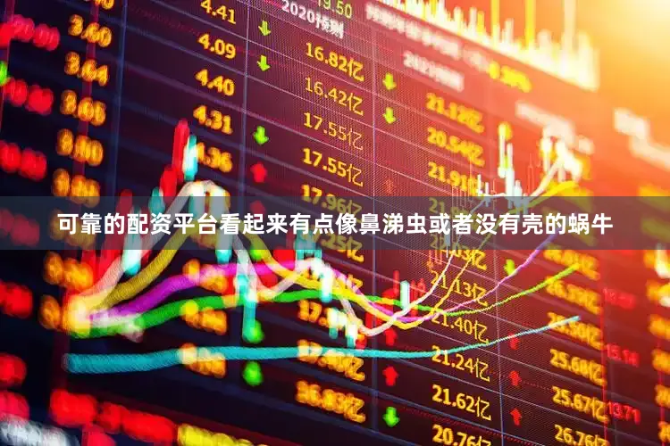 可靠的配资平台看起来有点像鼻涕虫或者没有壳的蜗牛